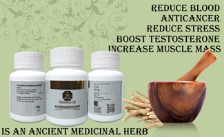 ASHWAGANDHA ROOT